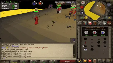 MMO/RPG gameplay